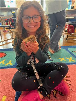 Student holds baby chick